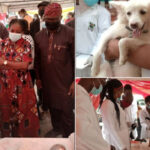 Lagos Govt To Vaccinate 1.5Million Dogs For Free (PHOTOS)
