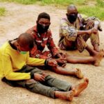 Nothing Like Money Rituals, Ritual Killers Are Killing In Vain – Nigerian Humanist Movement